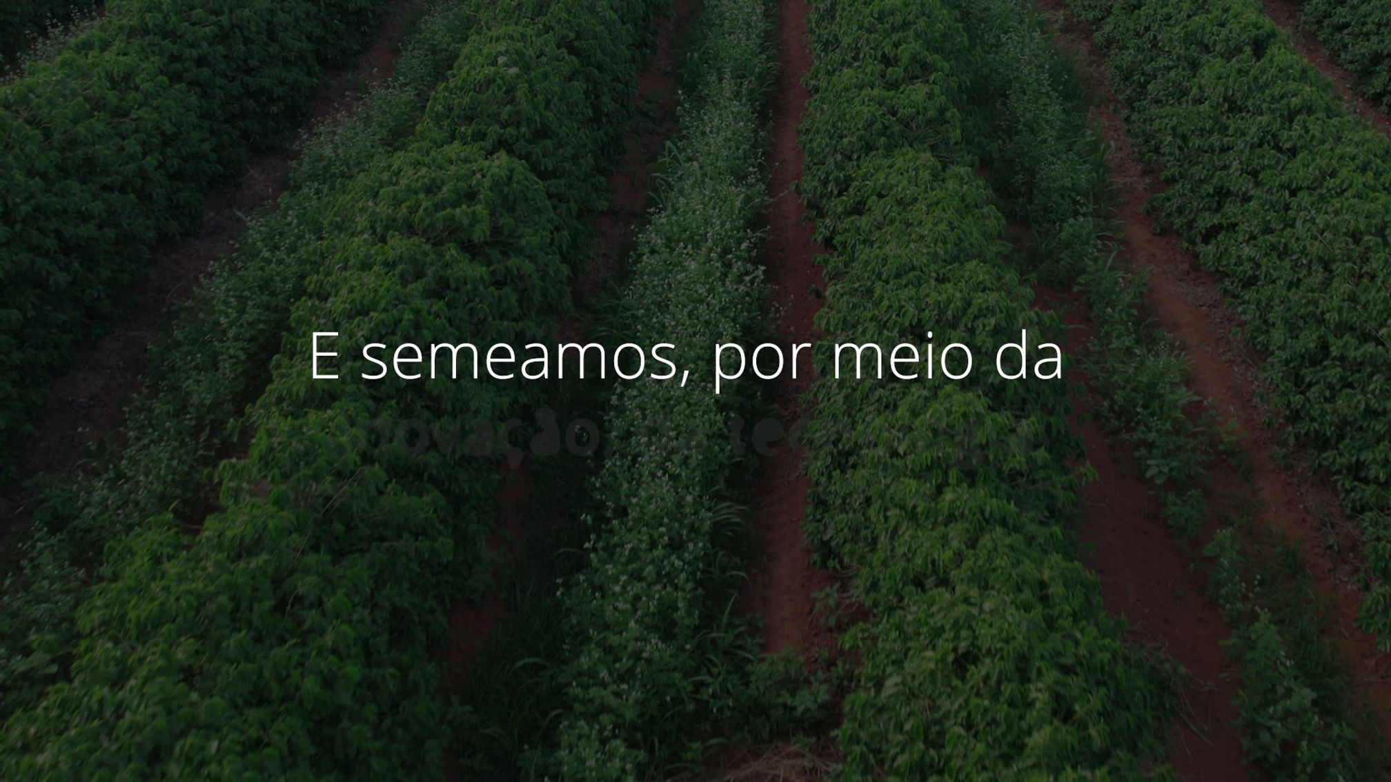 Instituto Mineiro do Agronegócio Sustentável (IMAS)